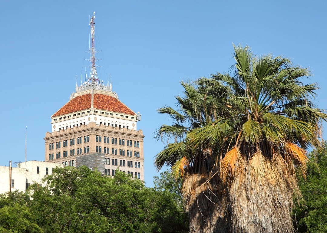 Image of palm trees and top of Pacific Southwest Building in downtown Fresno.